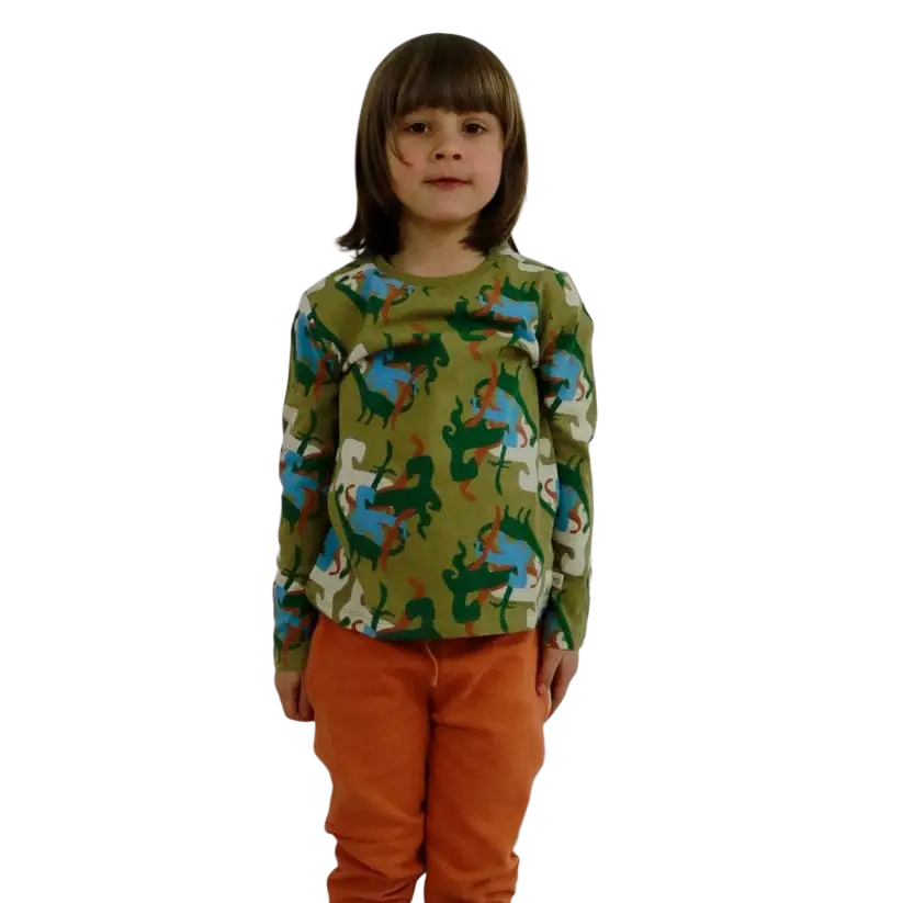 Longsleeves -- Dino - kinderkleding
