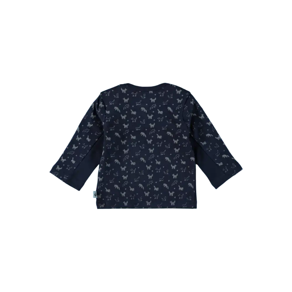Longsleeves -- Nathan - 50 / Blauw - kinderkleding
