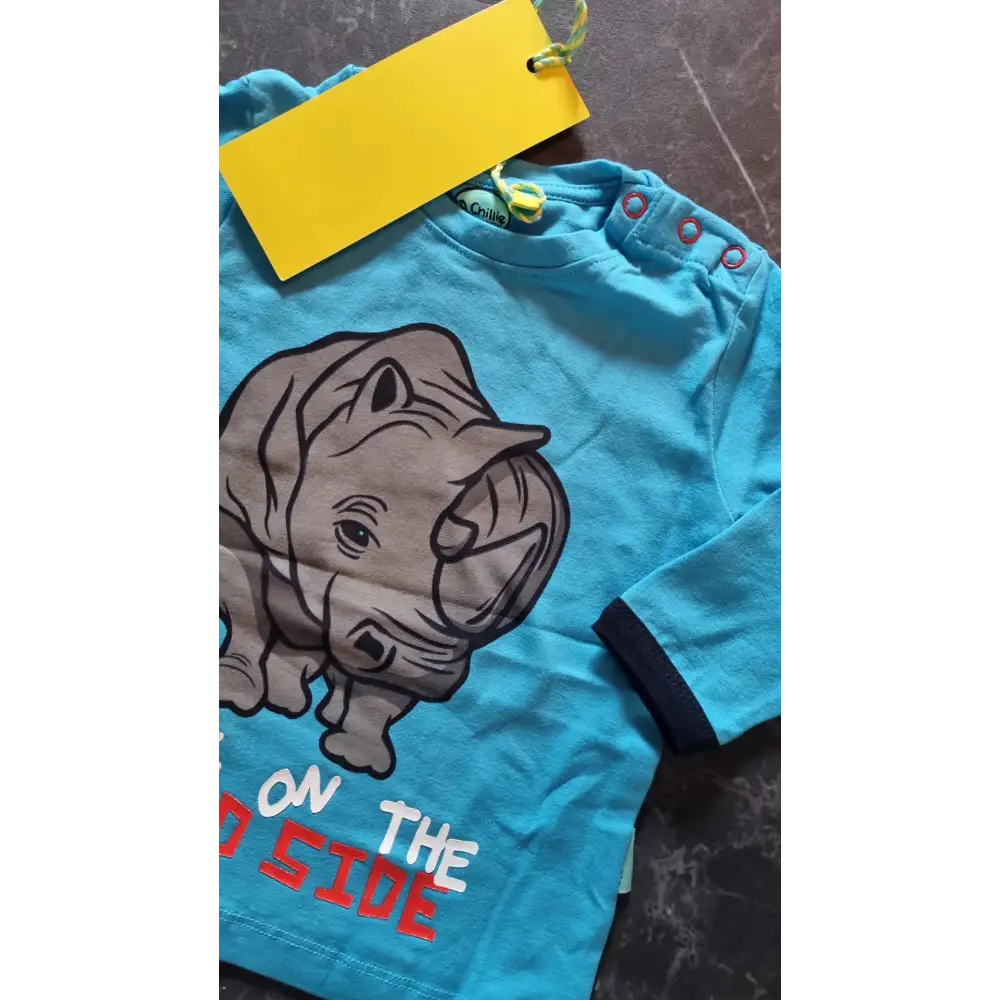 Longsleeves -- Pieter - 80 / Blauw - kinderkleding