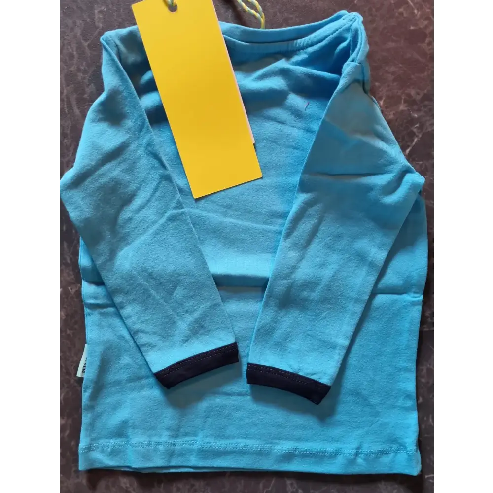 Longsleeves -- Pieter - 80 / Blauw - kinderkleding