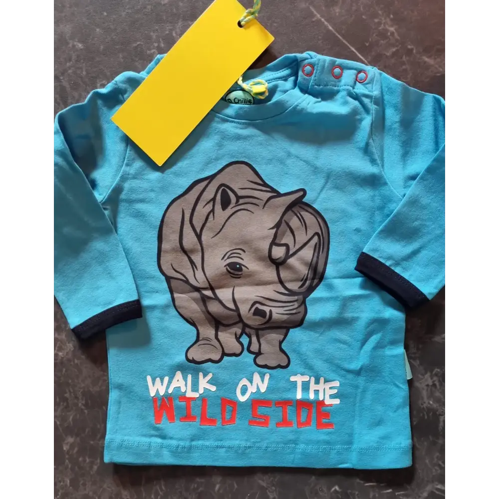 Longsleeves -- Pieter - 80 / Blauw - kinderkleding