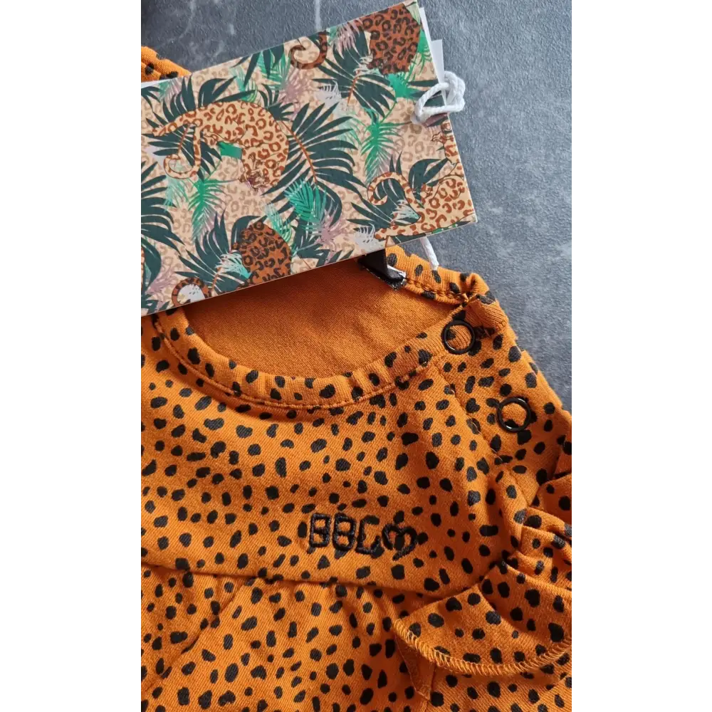 Longsleeves Spots 68 / Bruin kinderkleding