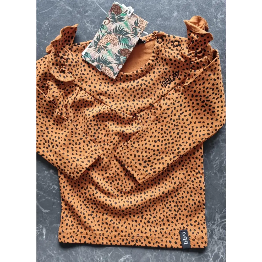 Longsleeves Spots 68 / Bruin kinderkleding