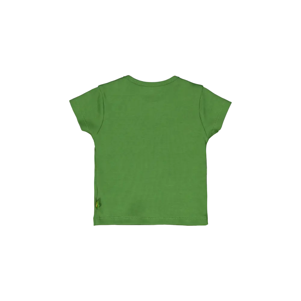 Shortsleeves -- Lenn - 50 / Groen - kinderkleding