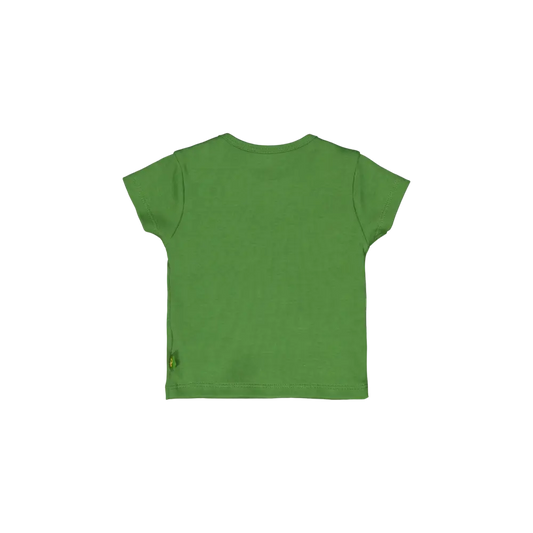 Shortsleeves -- Lenn - 50 / Groen - kinderkleding