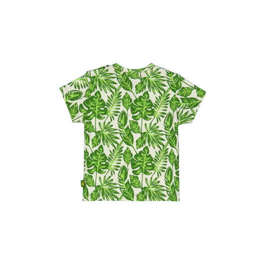 Shortsleeves -- Lex - 50 / Groen - kinderkleding