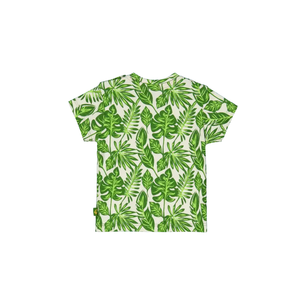 Shortsleeves -- Lex - 50 / Groen - kinderkleding