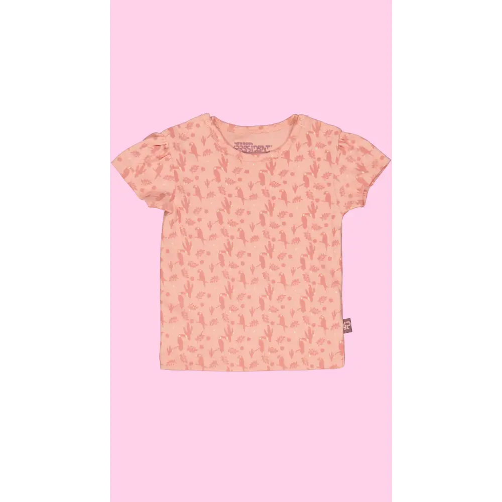 Shortsleeves -- Liv - 50 / Roze - kinderkleding