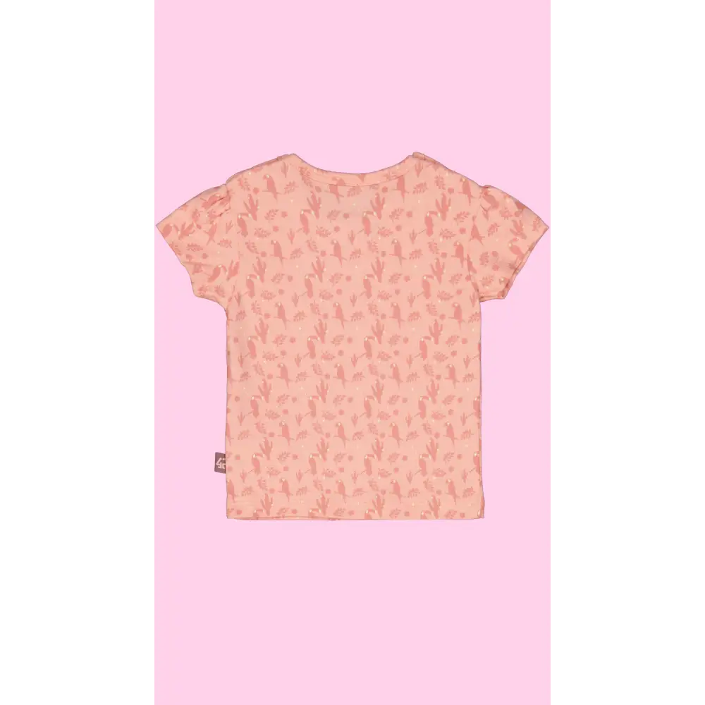 Shortsleeves -- Liv - 50 / Roze - kinderkleding