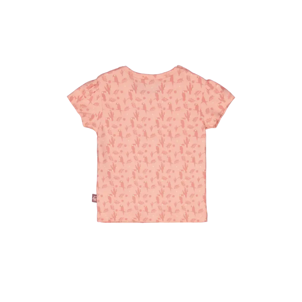 Shortsleeves -- Liv - 50 / Roze - kinderkleding