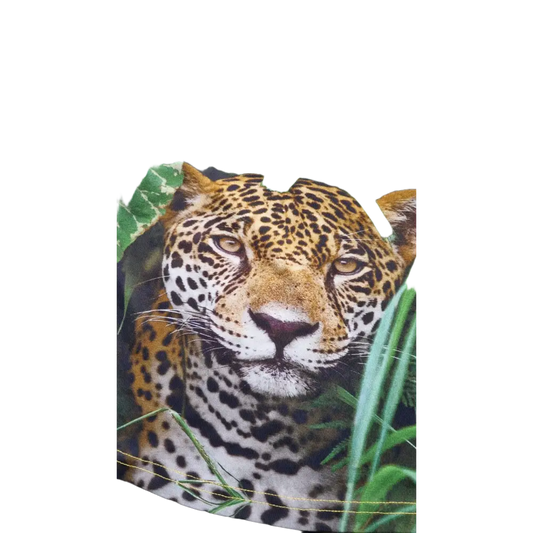 Shortsleeves -- Ryan - kinderkleding