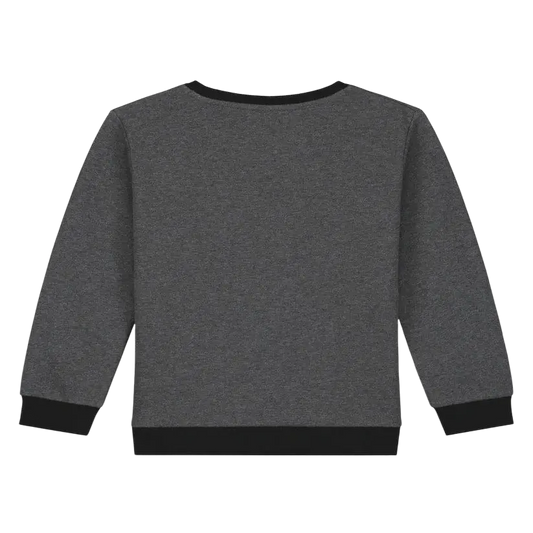 Sweater -- Born to Stand - Grijs / 134/140 - kinderkleding