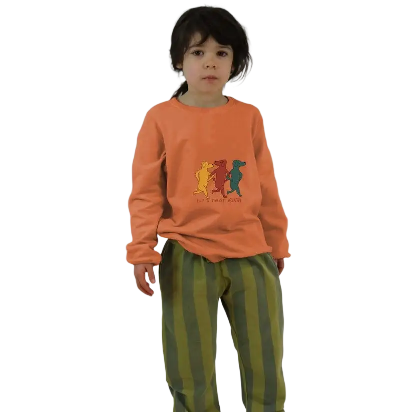 Sweater -- Let’s Twist - kinderkleding