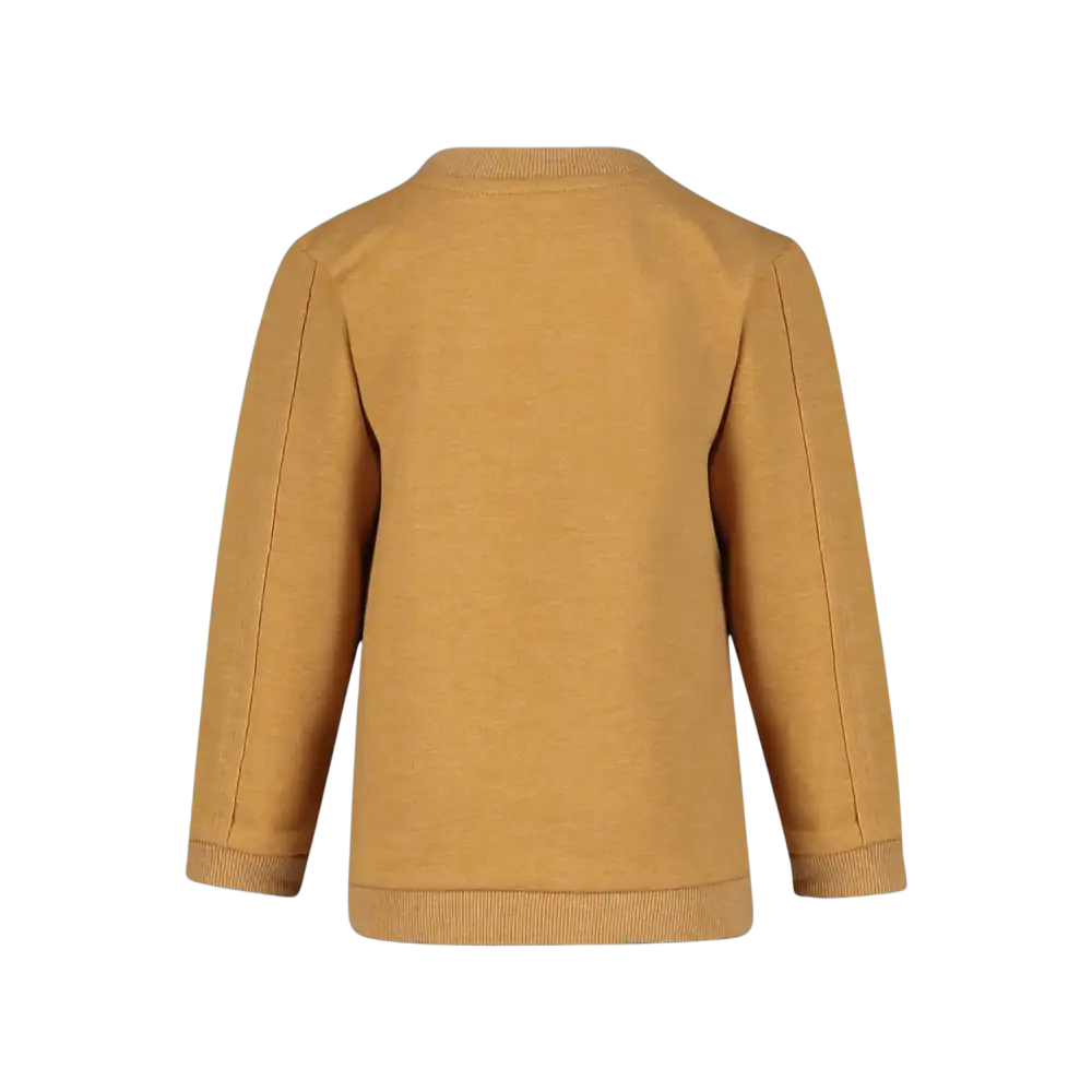 Sweater -- Matt - 74 / Geel - kinderkleding