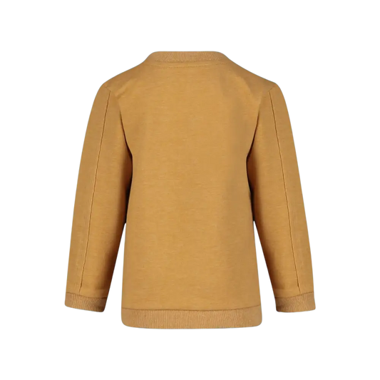 Sweater -- Matt - 74 / Geel - kinderkleding