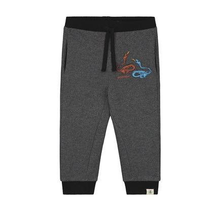 Joggingbroek -- Dragons in Camping - kinderkleding