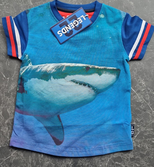 Shortsleeve -- Gavin - 86/92 / Blauw - kinderkleding