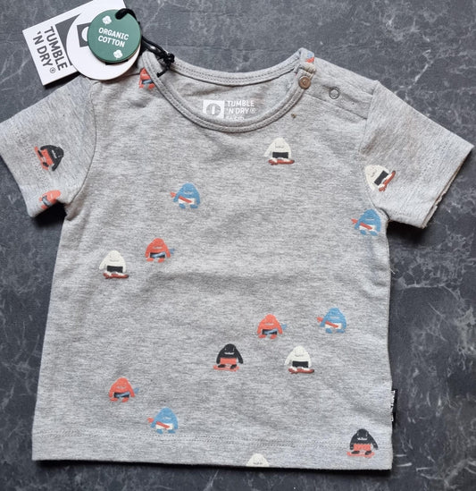 Shortsleeve -- Little Monster - 56 / Grijs - kinderkleding