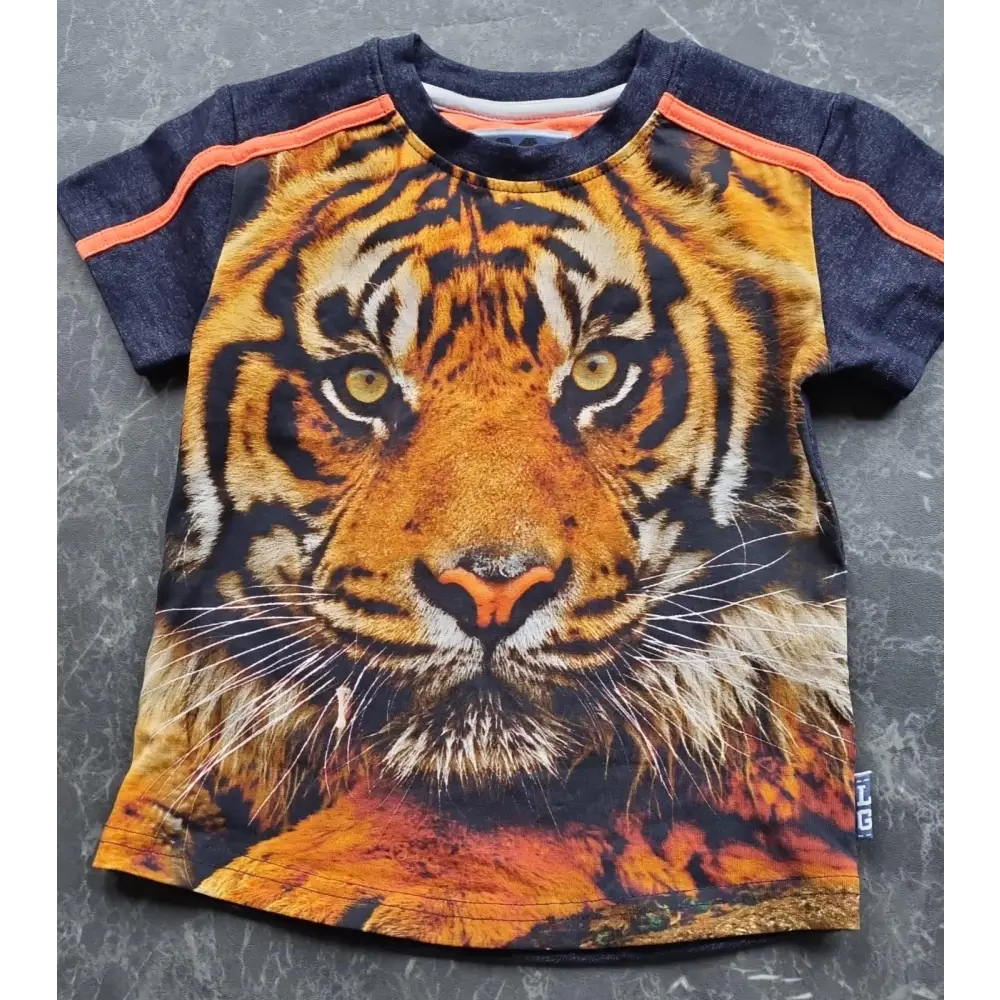 Shortsleeves -- Dandolo - 86/92 / Blauw - kinderkleding