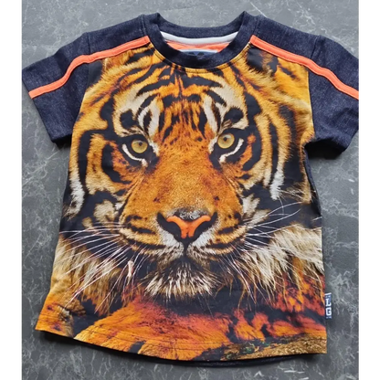 Shortsleeves -- Dandolo - 86/92 / Blauw - kinderkleding