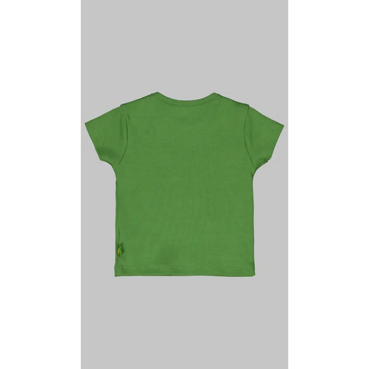 Shortsleeves -- Lenn - 50 / Groen - kinderkleding