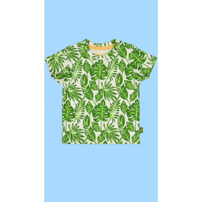 Shortsleeves -- Lex - 50 / Groen - kinderkleding