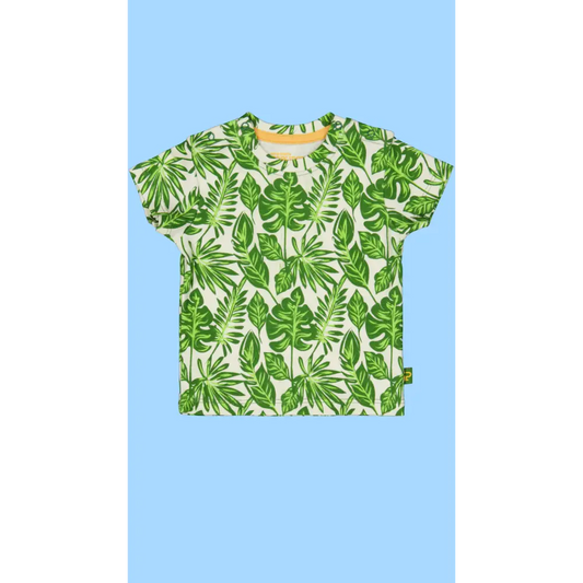 Shortsleeves -- Lex - 50 / Groen - kinderkleding