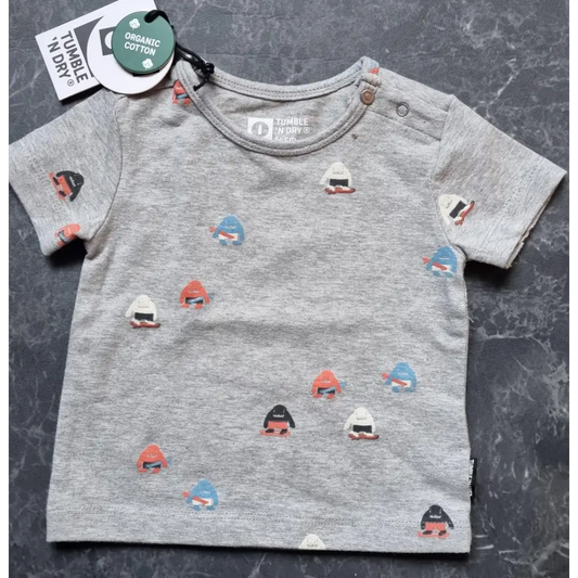Shortsleeves Little Monsters 56 / Grijs kinderkleding