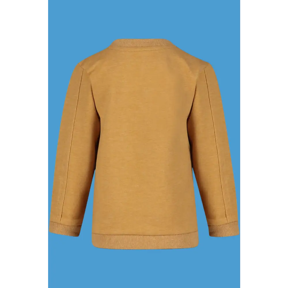 Sweater -- Matt - 74 / Geel - kinderkleding