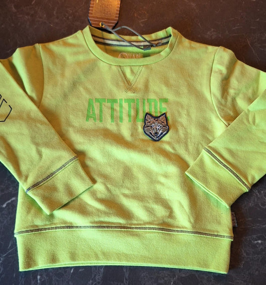 Sweater -- Vikten - 92 / Groen - kinderkleding